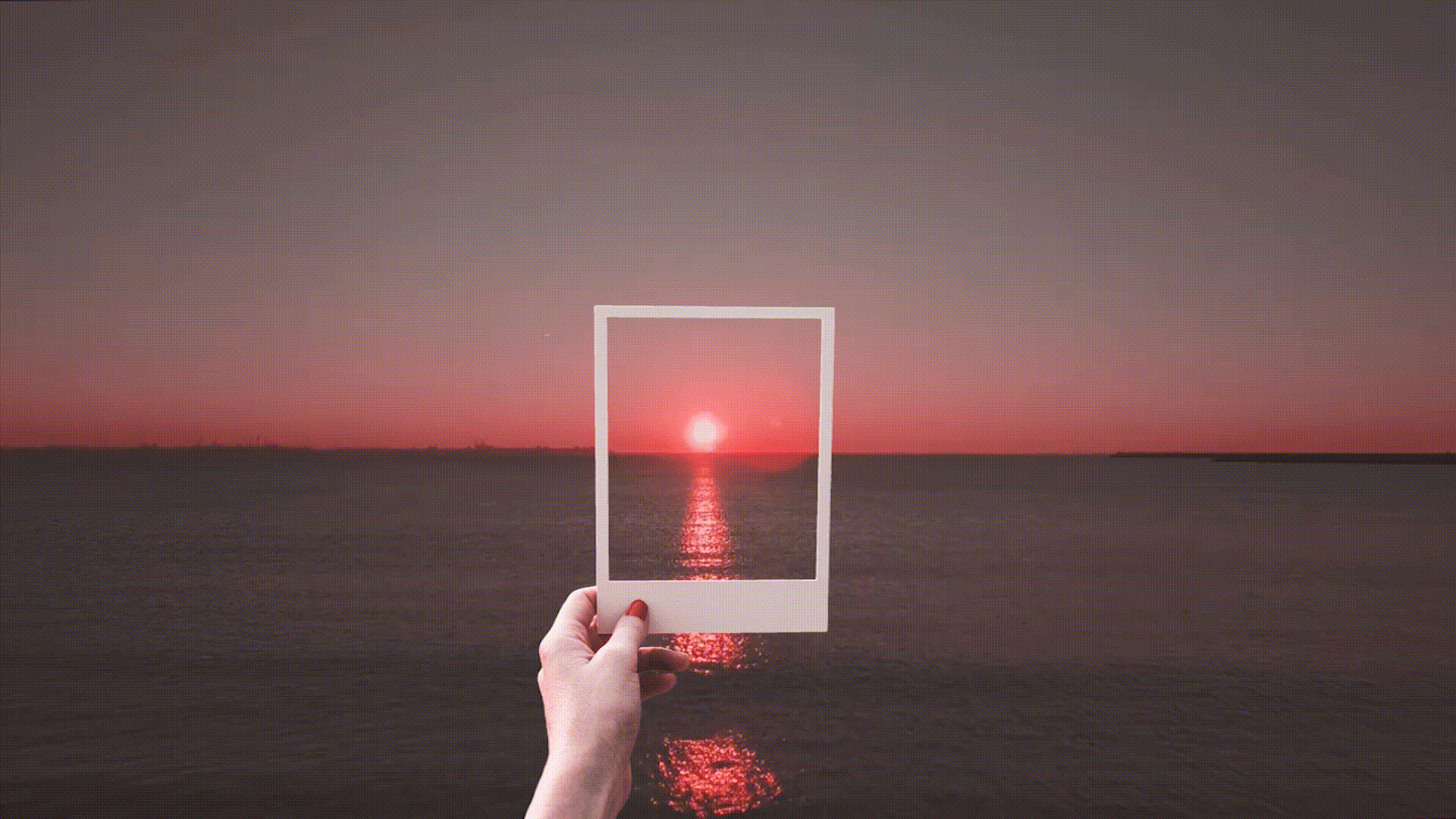 写真集